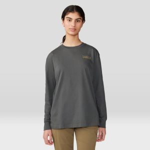 Logo Landscape™ Boxy Long Sleeve