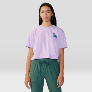 Women's Jagged Peakâ„¢ Boxy Crop Short Sleeve