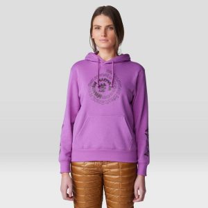 Women's Type Swirlâ„¢ Pullover Hoody
