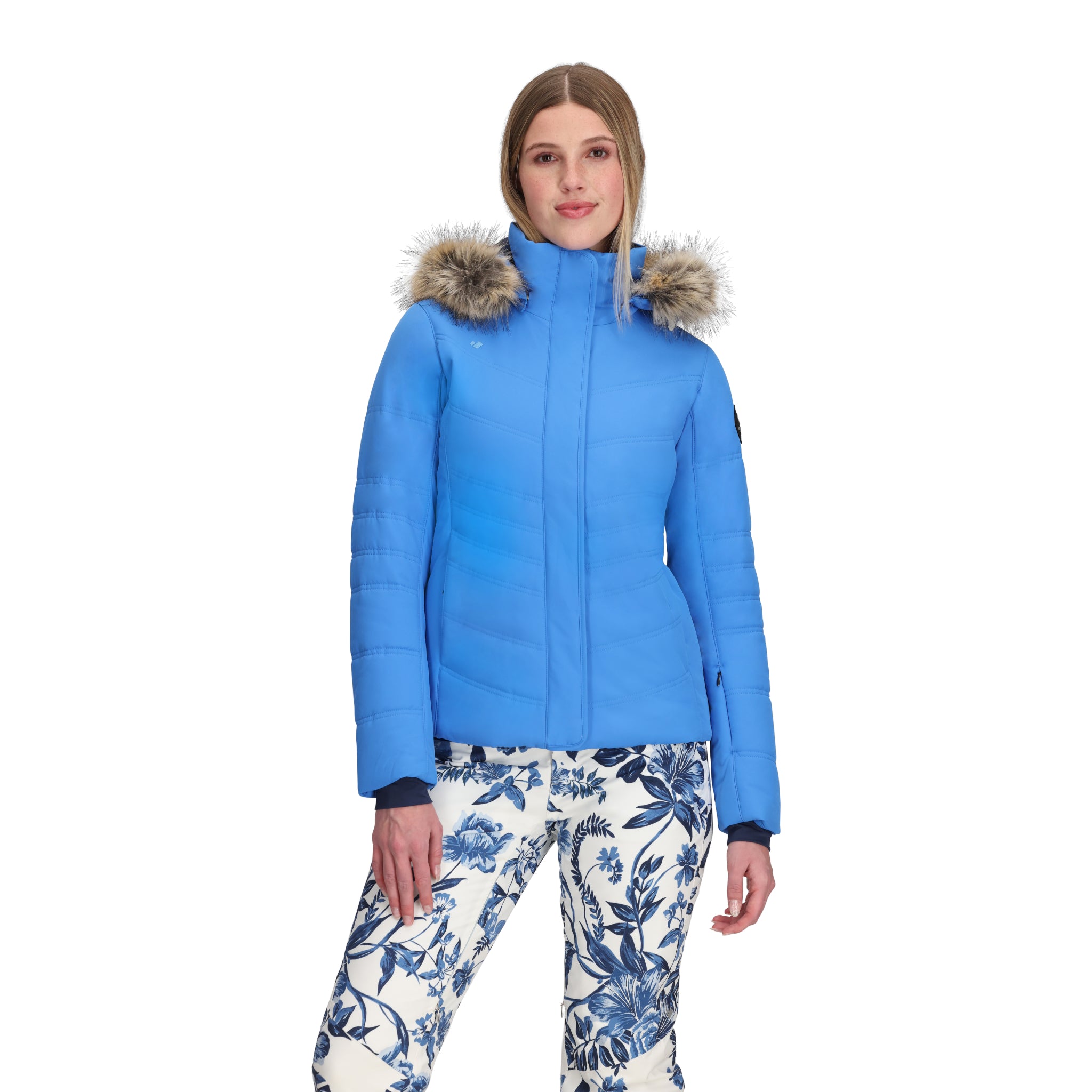 Doberman And Shepherd Mix