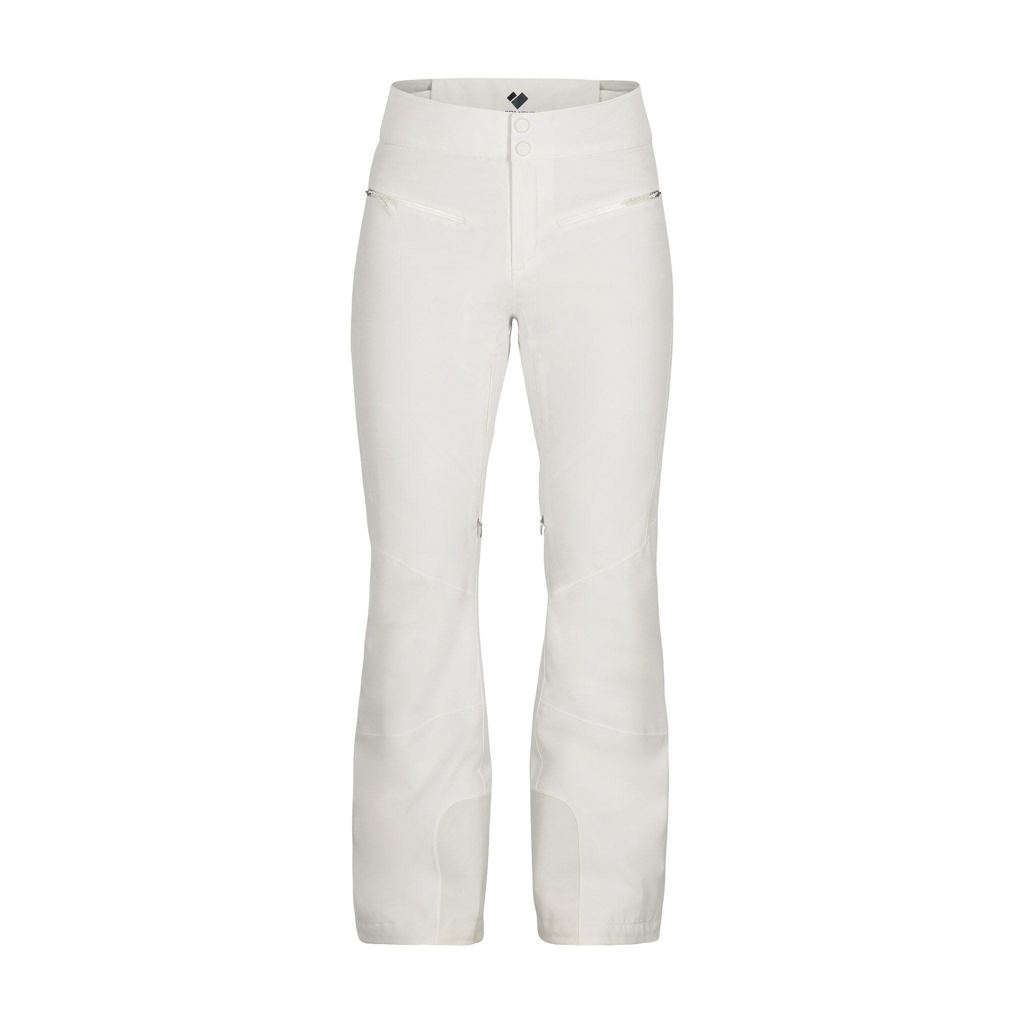 Russian Blue Tabby Mix