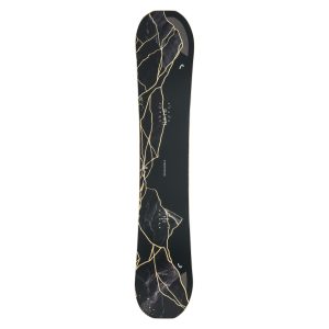 Catahoula Red Heeler Mix