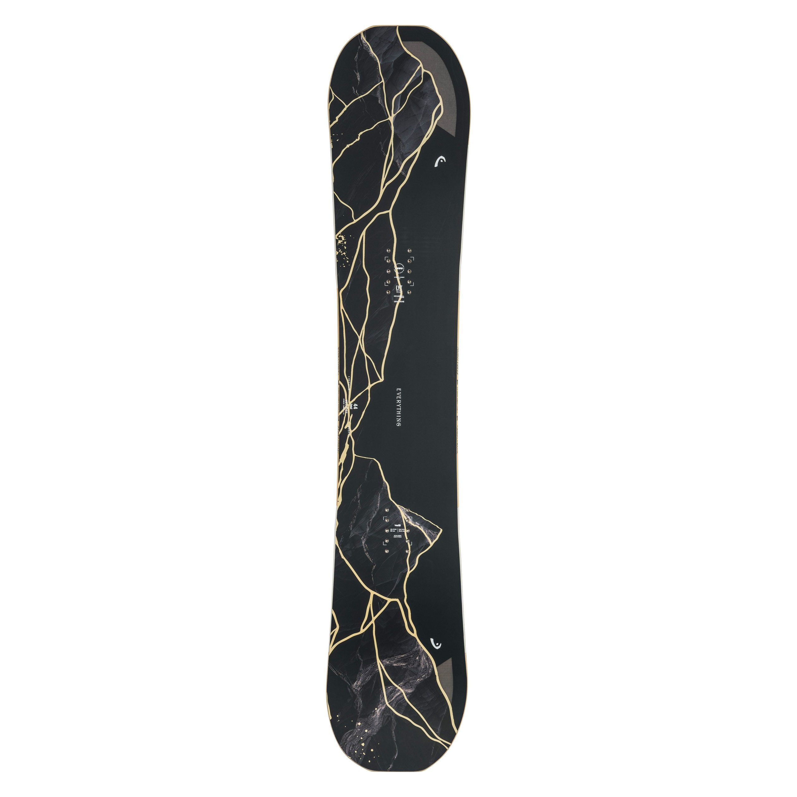 Catahoula Red Heeler Mix