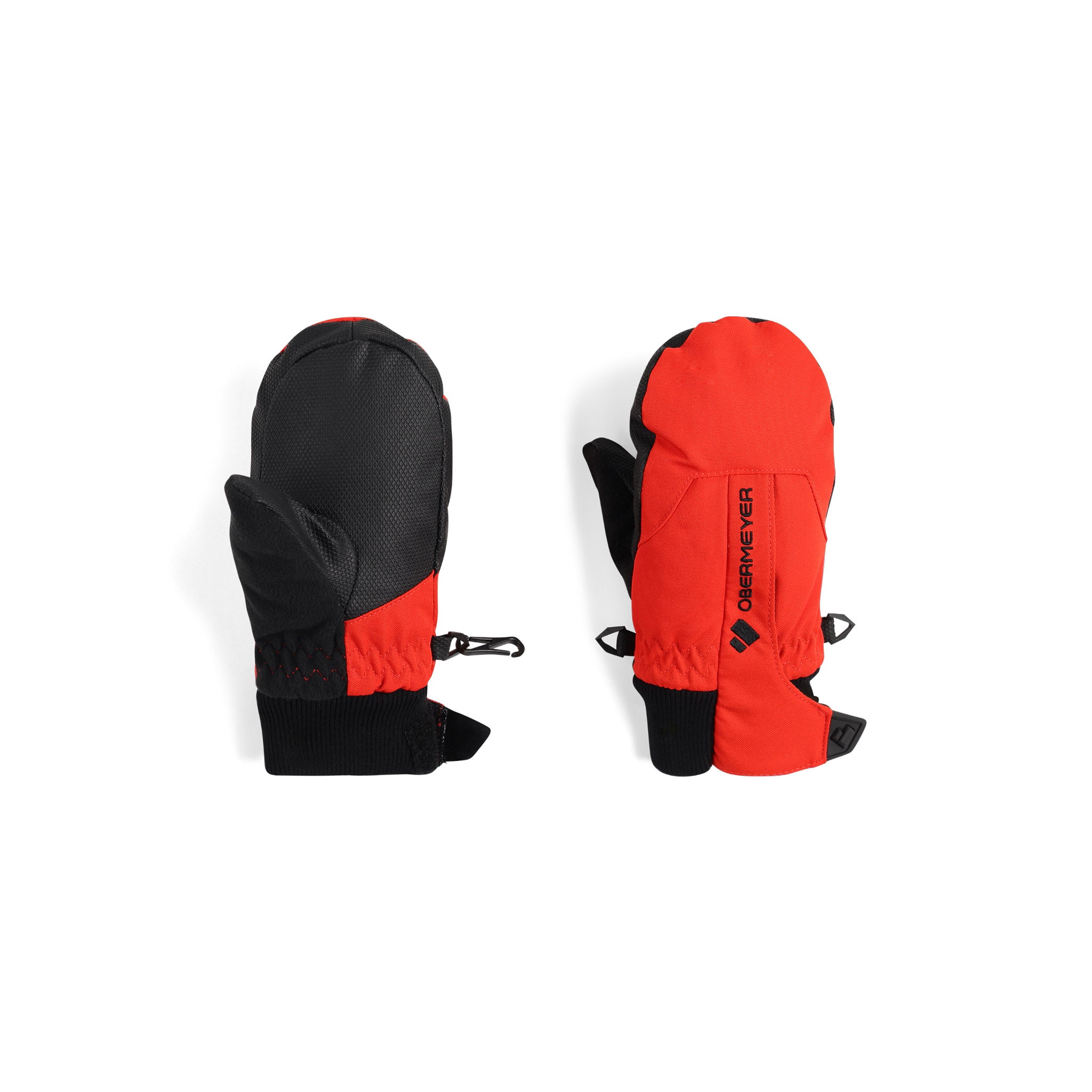 Catahoula Shepherd Mix