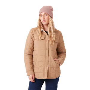 Bernese Mountain Dog And Poodle Mix