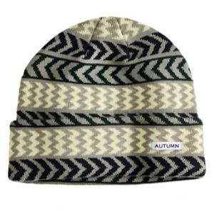 SkiPro Autumn Select Chevron Beanie 2025 For Sale