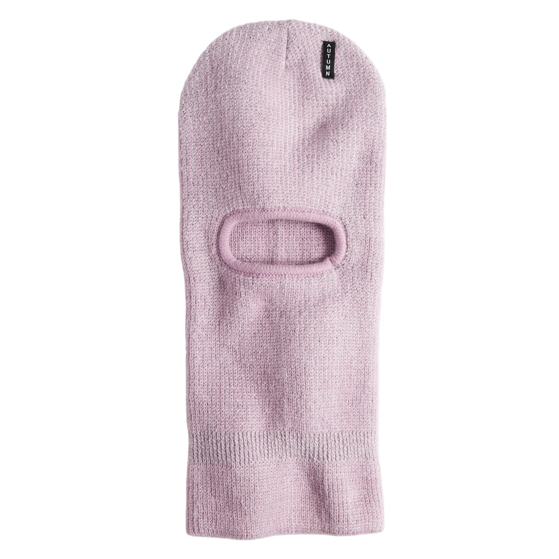 Presa Canario Pitbull Mix