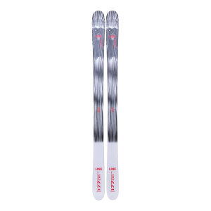 Corgi And Terrier Mix