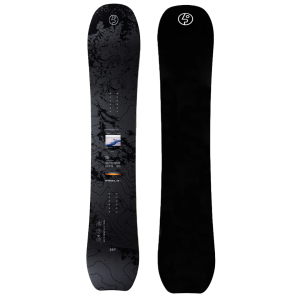 Dachshund Mix German Shepherd