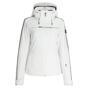 Weiner Dog And Beagle Mix