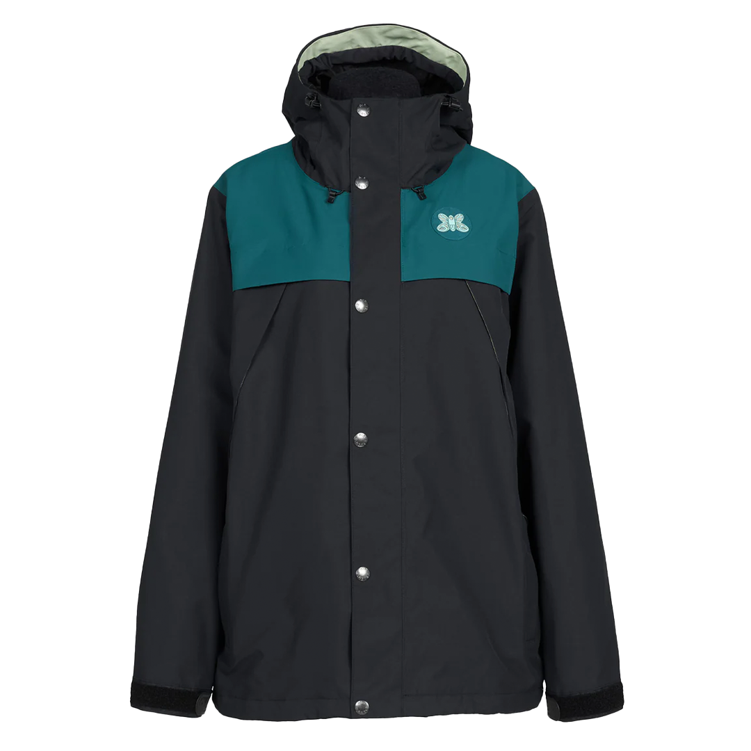 Black Lab Terrier Mix