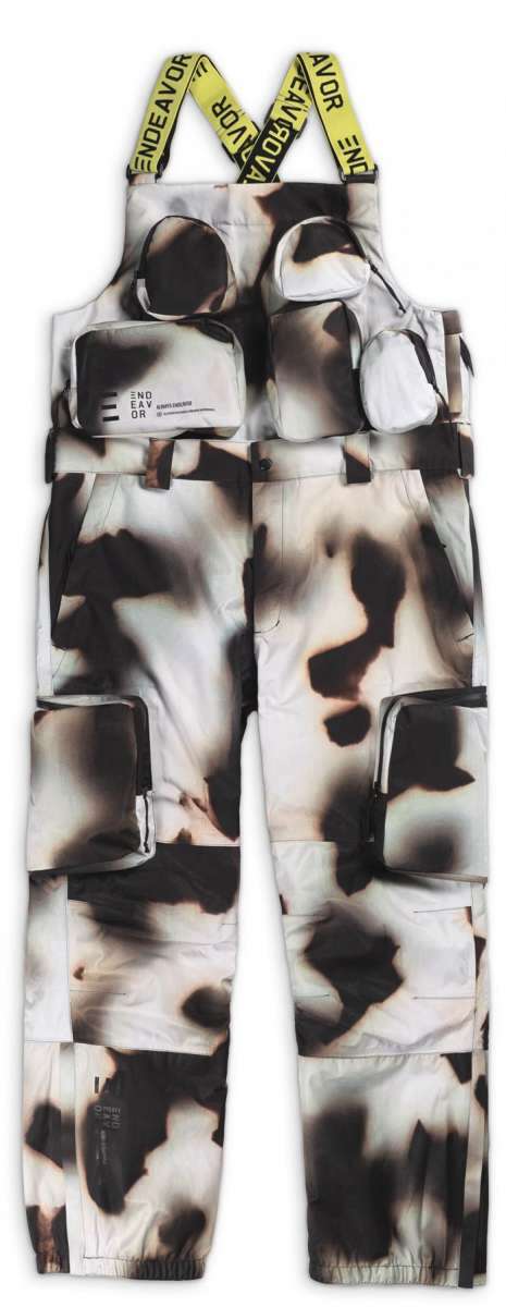 Cattle Dog Chihuahua Mix