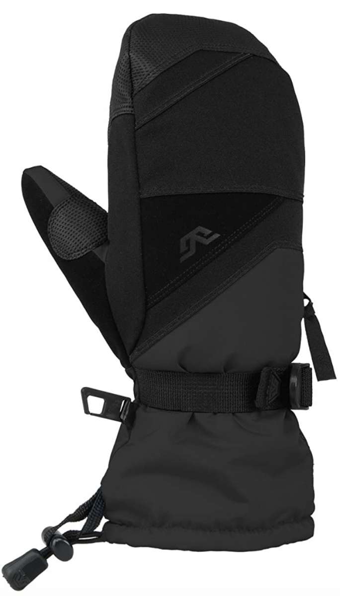 Cavalier King Charles Spaniel Poodle Mix Puppies