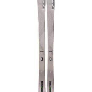 Rottweiler Mix Blue Heeler