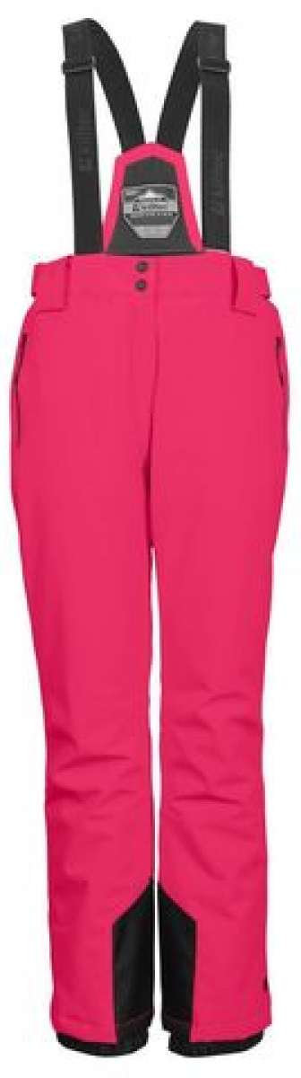 Shih Tzu And Poodle Mix