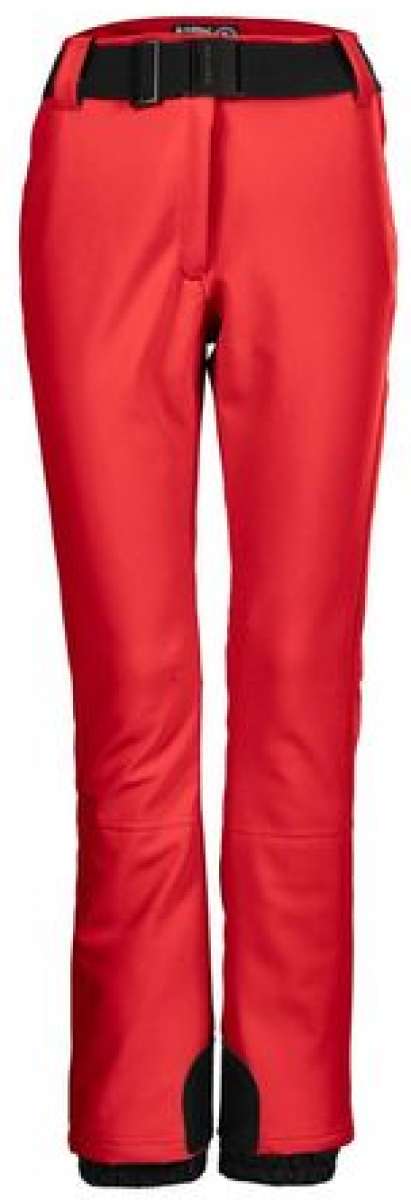 Siberian Husky And Chocolate Lab Mix