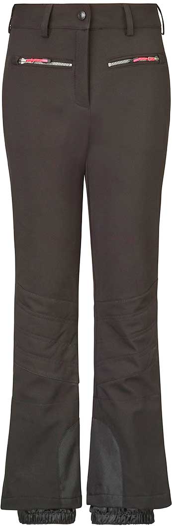 Pitbull Mix Black Lab