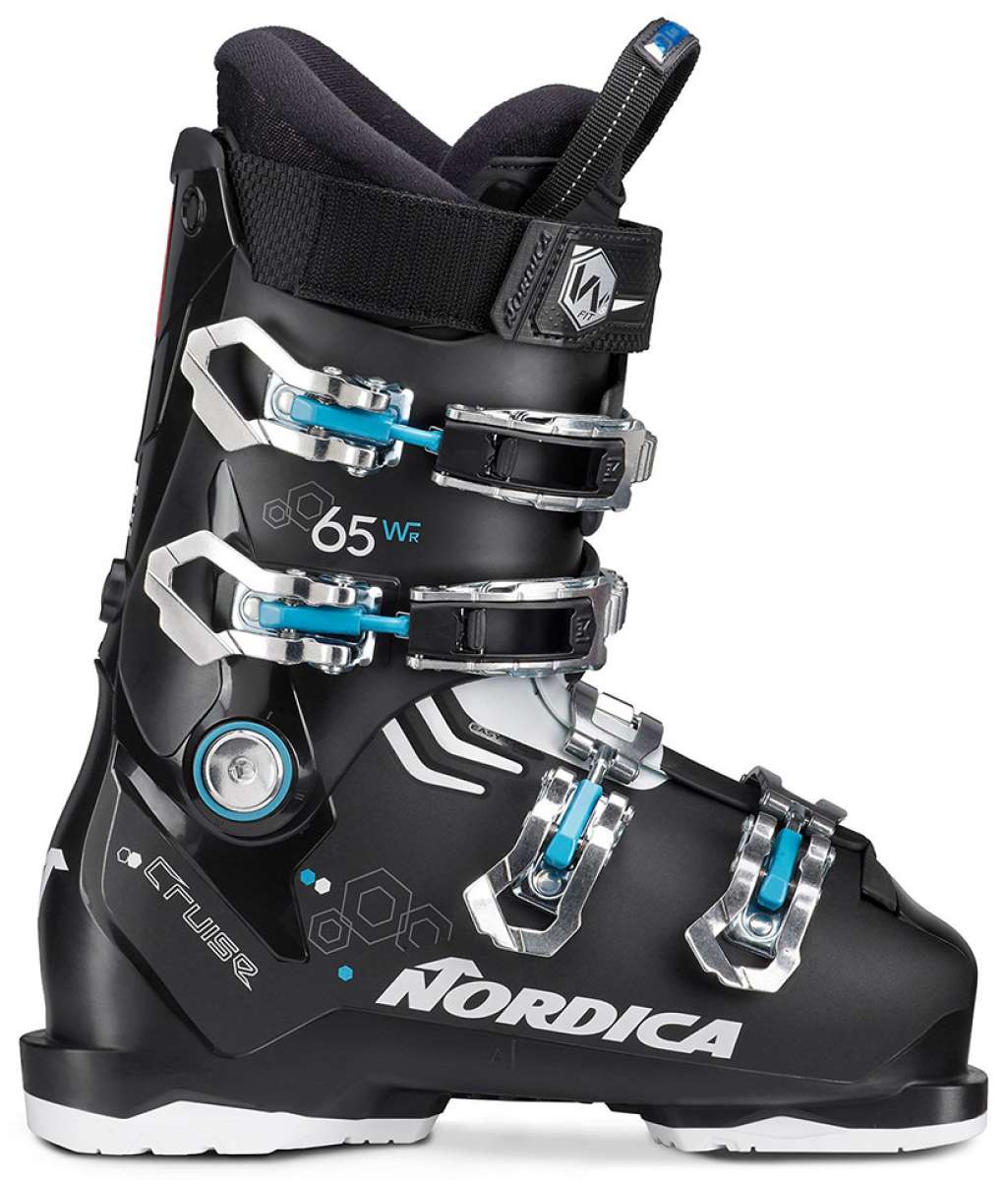 Chihuahua Min Pin Mix