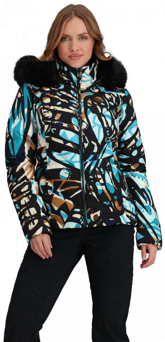 Bernese Mountain Dog Aussie Mix