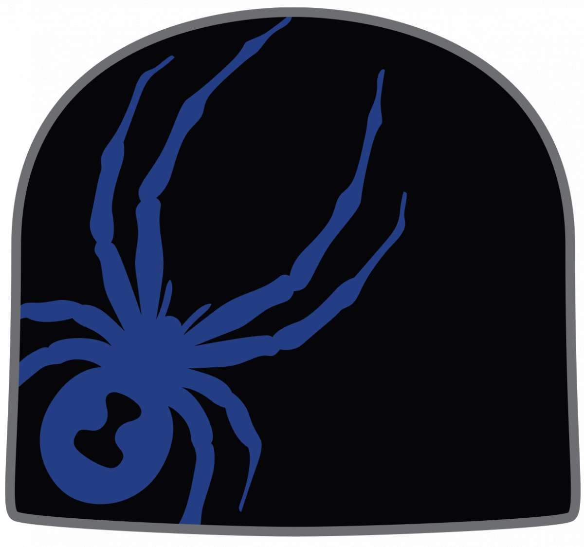 SkiPro Spyder Arachnid Beanie 2024 For Sale