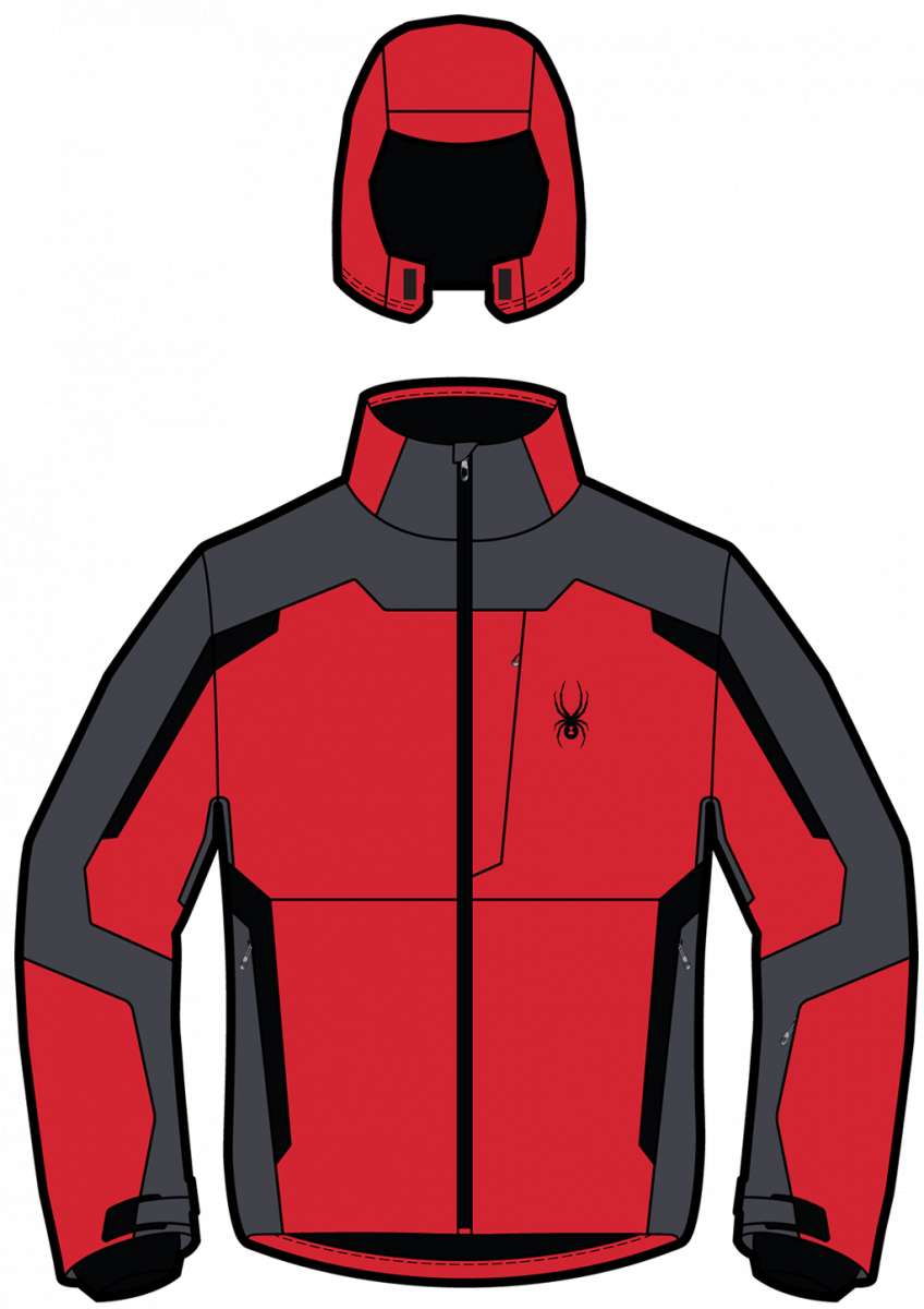 Rat Terrier Chihuahua Mix Dog