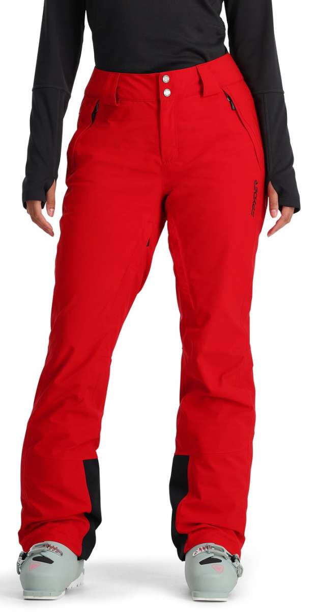 Blue Russian Cat Mix