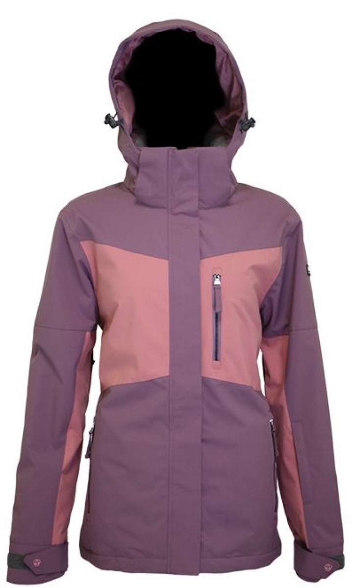 Beagle And Border Collie Mix