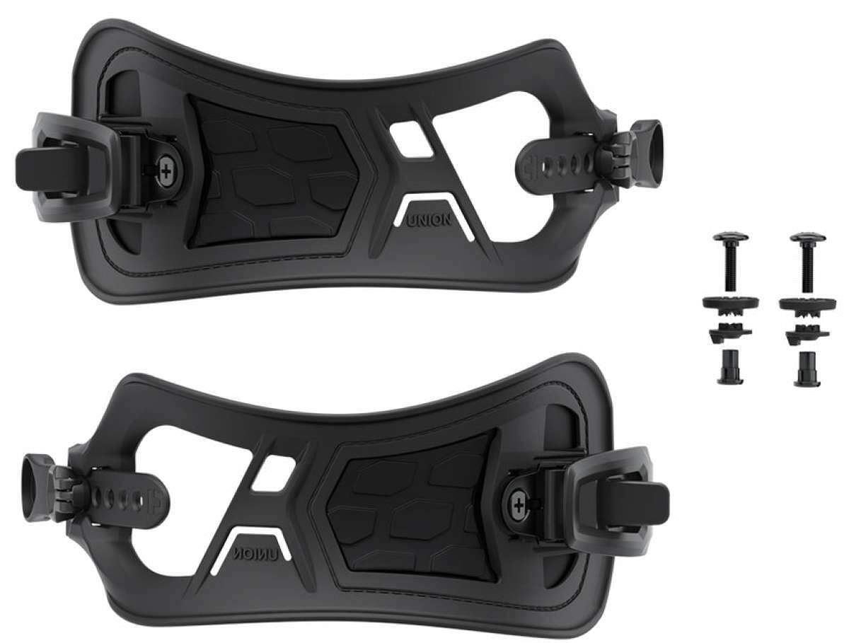 Cane Corso Poodle Mix